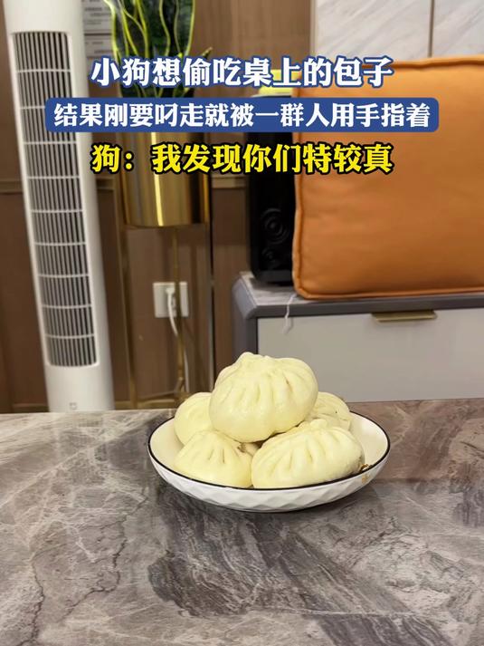小狗想偷吃桌上的包子,结果刚要叼走就被一群人用手指着