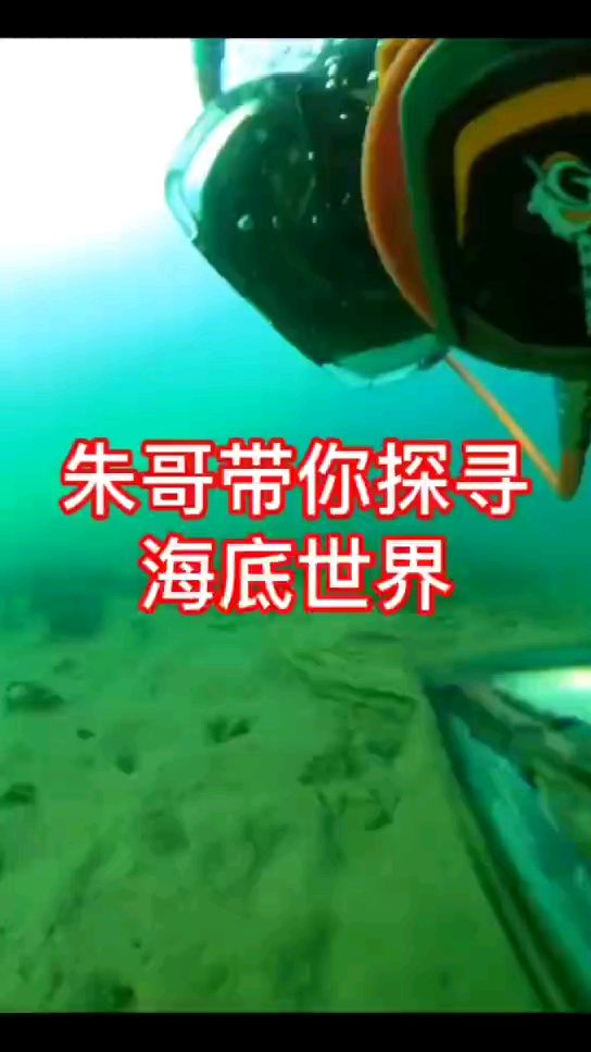 潜水员朱哥带你去看海底世界