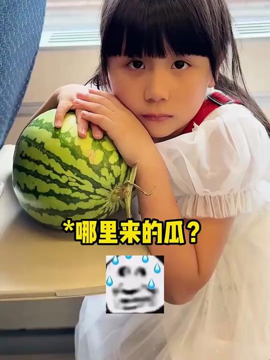 谁会在高铁上吃西瓜啊!