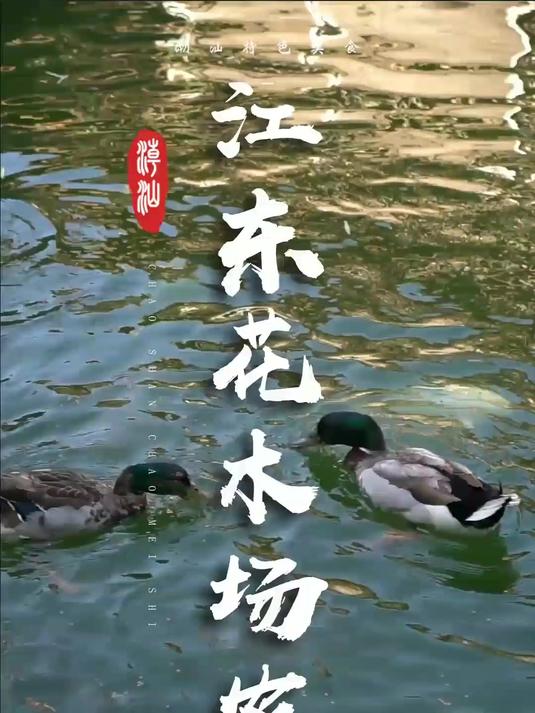 潮汕周末打卡!瓦缸烤鸡!笋宴!避暑!都在这里!