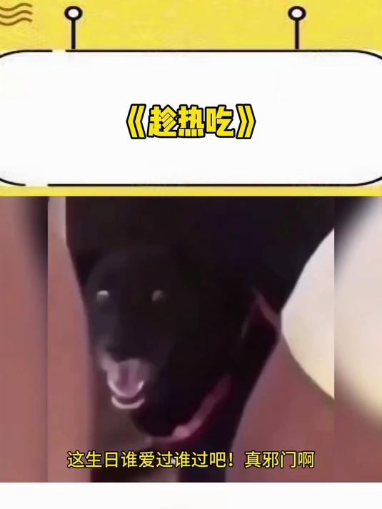 粪便蛋糕这生日谁爱过谁过吧!