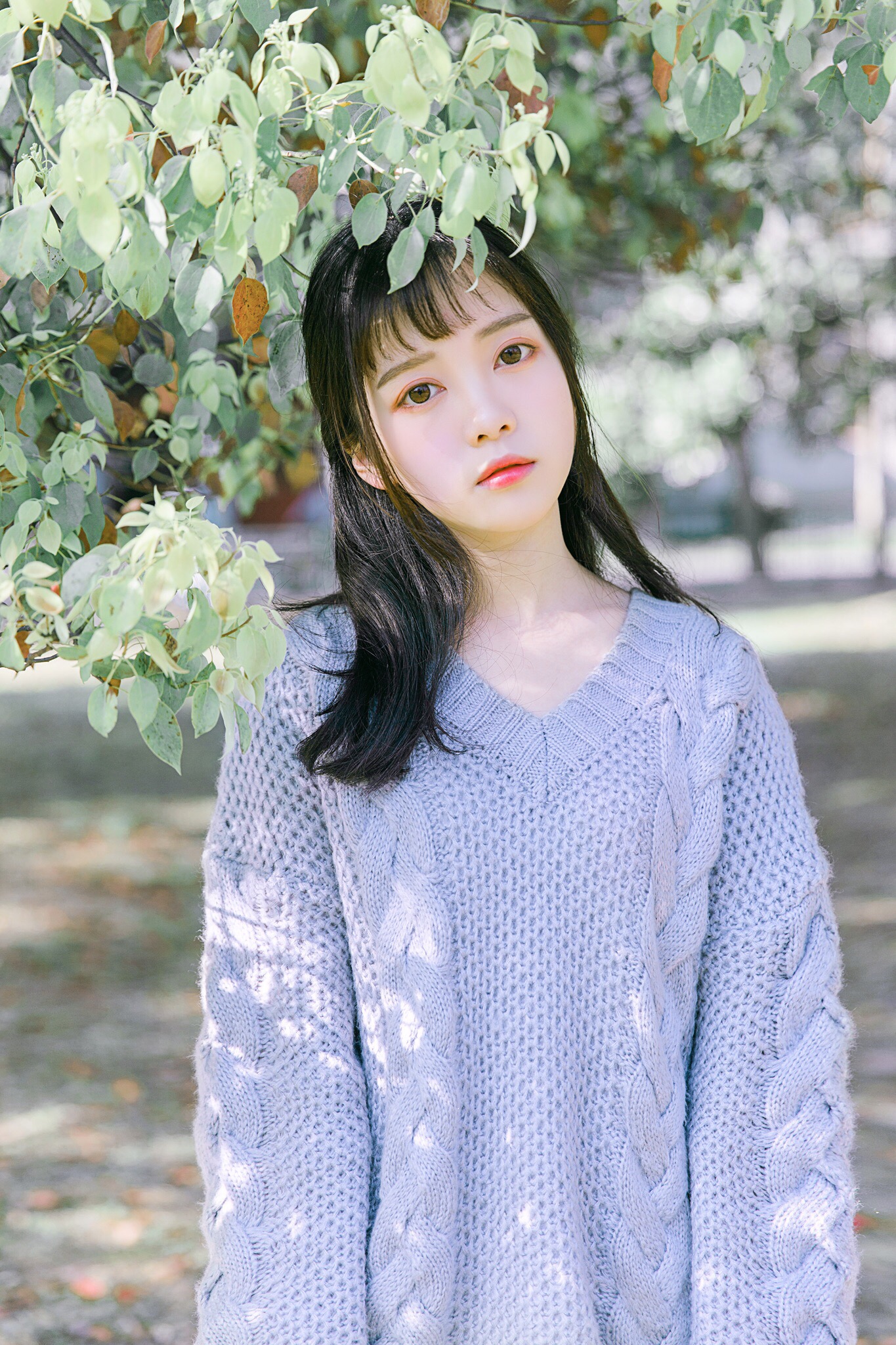 图片[17]-青柠女孩-六色网