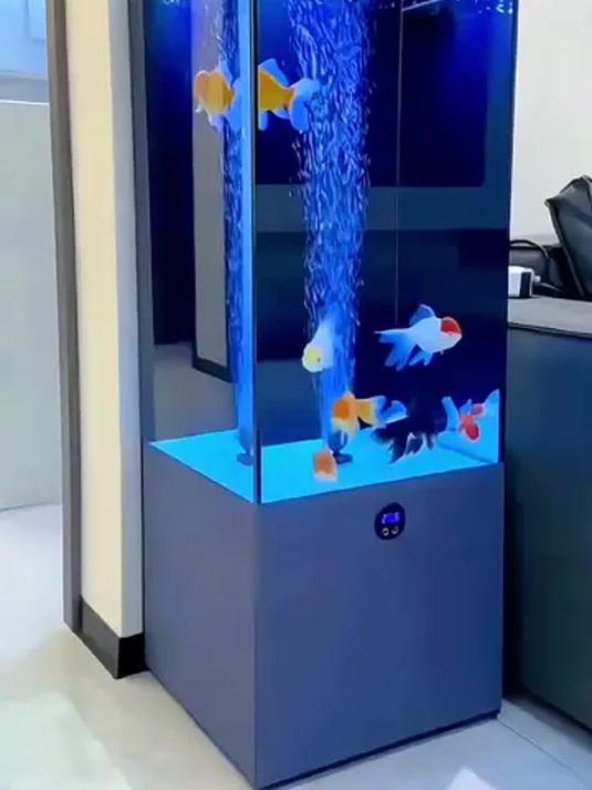 客厅电视柜旁新款静音鱼缸 超白玻璃 生态底滤 高档大气