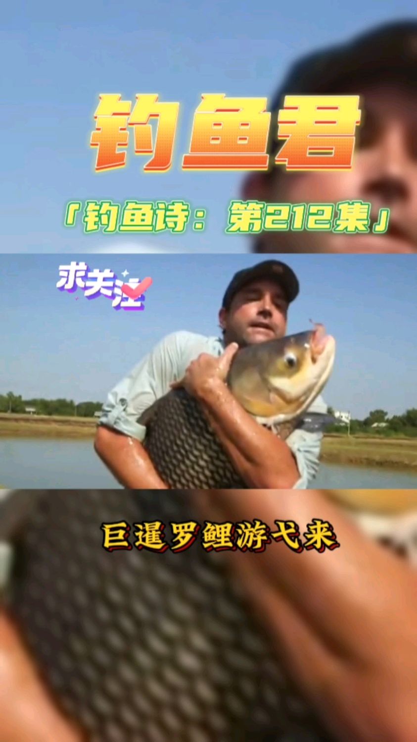 钓鱼君之钓鱼口诀:第212集(钓巨暹罗鲤)鱼类百科,钓过此鱼吗