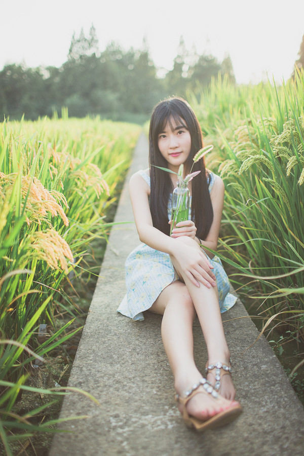 图片[3]-秋稻香-六色网