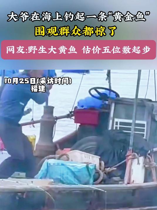 大爷在海上钓起一条“黄金鱼” 围观群众都惊了,网友野生大黄鱼 估价五位数起步