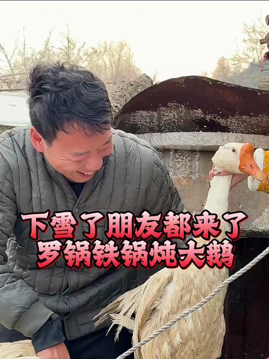 鹅鹅鹅 曲项向天歌 起锅烧开水 铁锅炖大鹅