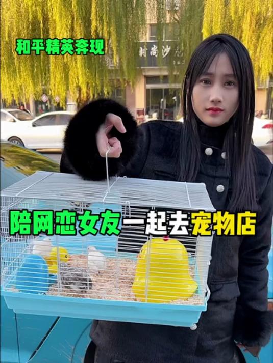你们说给这几只长不大的小鸡起什么名字好听呢？