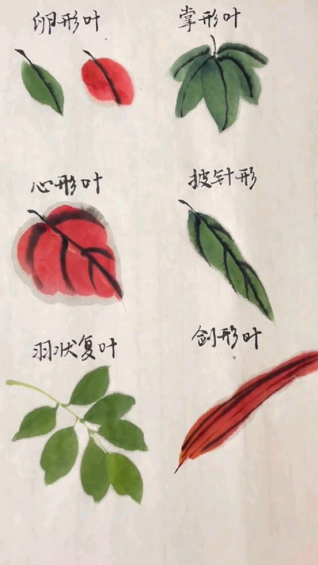 国画中常用的几种叶片画法