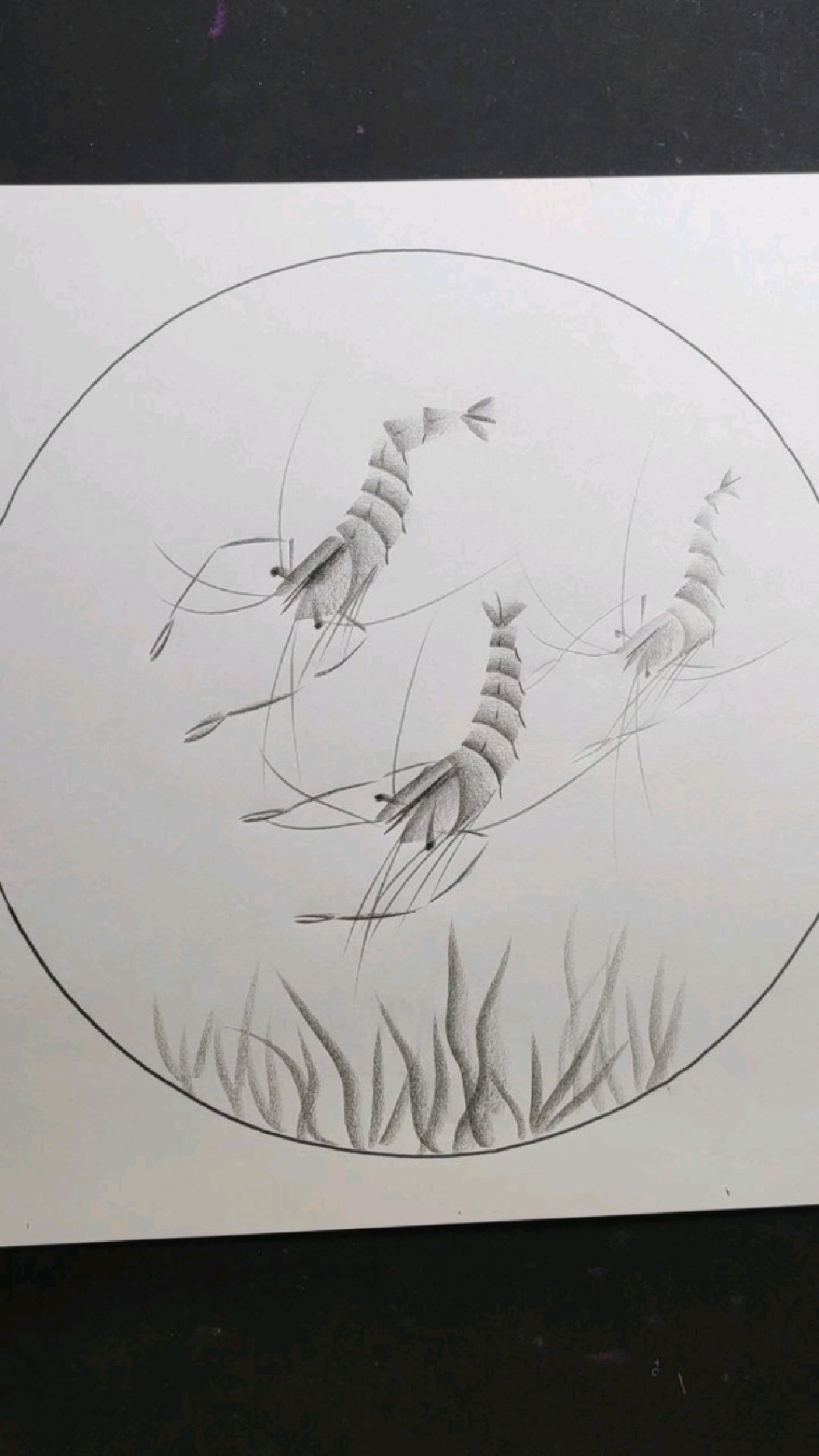 不用水不用墨,画一个水墨风格的大虾,你也试试吧