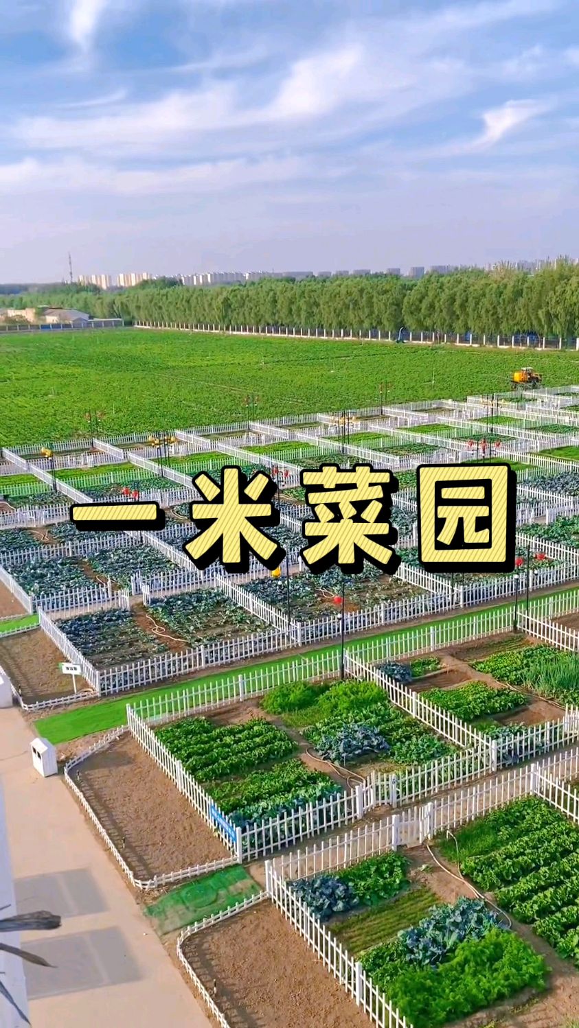 一米菜园,你的农场打造了吗?