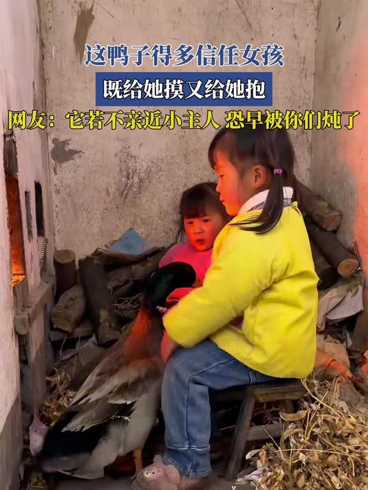 这鸭子得多信任女孩,既给她摸又给她抱