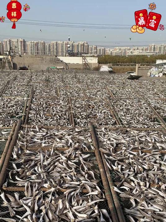 收拾干净的红娘鱼！蒜瓣肉红烧油炸糖醋炖豆腐！做麻辣都好吃#红娘鱼#