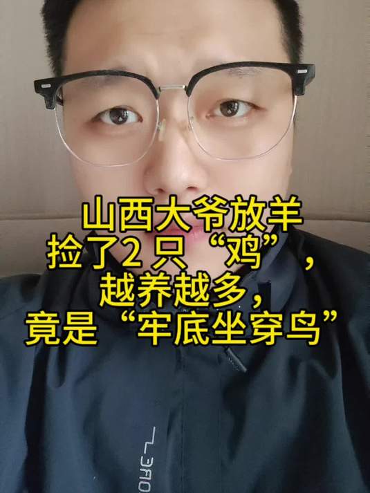 山西大爷放羊捡了2 只“鸡”,越养越多,竟是“牢底坐穿鸟”