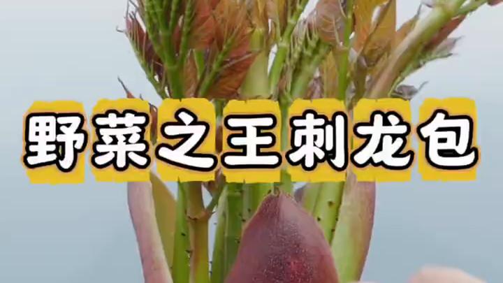 刺龙芽被誉为野菜之 #农村野菜 #野菜 #山野菜 #野菜美食