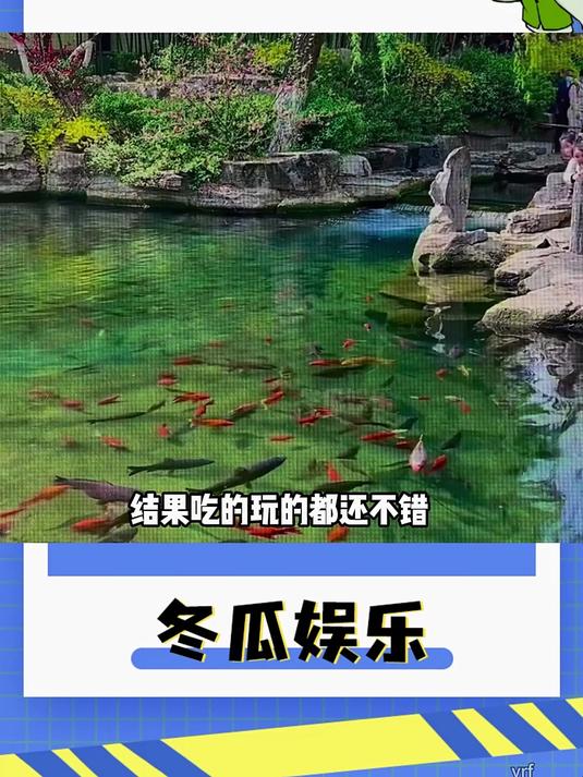 怪不得老被骂脑子里养鱼呢