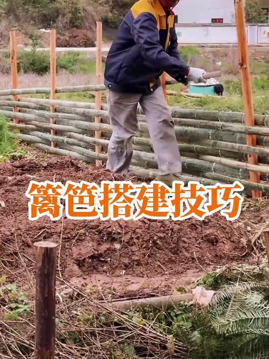 #家门口的好风景#低成本高颜值!大哥搭建篱笆保护菜园,防小动物还耐用#生活小妙招##生活小