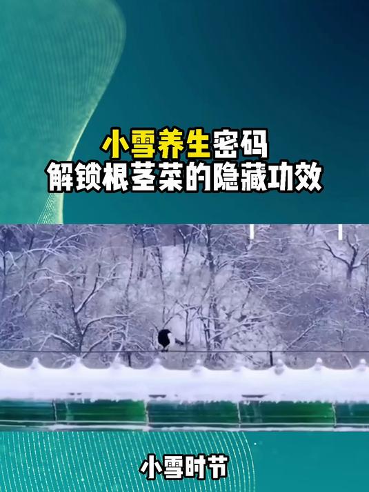 小雪养生密码 解锁根茎菜的隐藏功效
