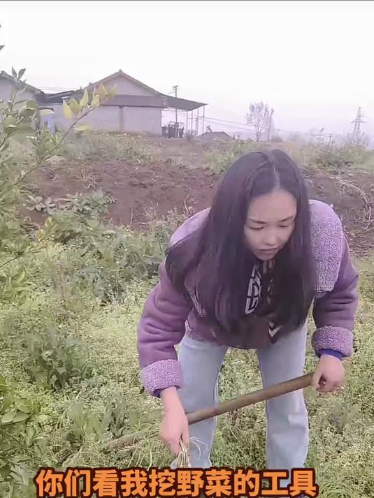 你们看我这挖野菜的工具还给力吧#去野去回春#
