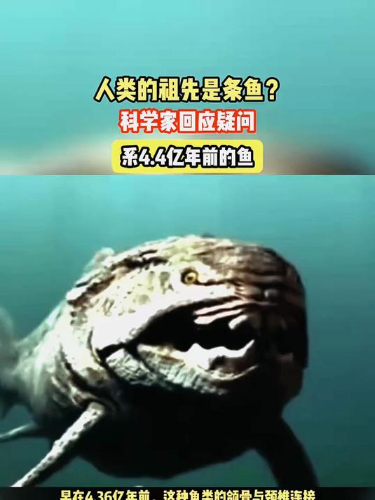 人类的祖先是条鱼？科学家回应疑问：系4.4亿年前的鱼