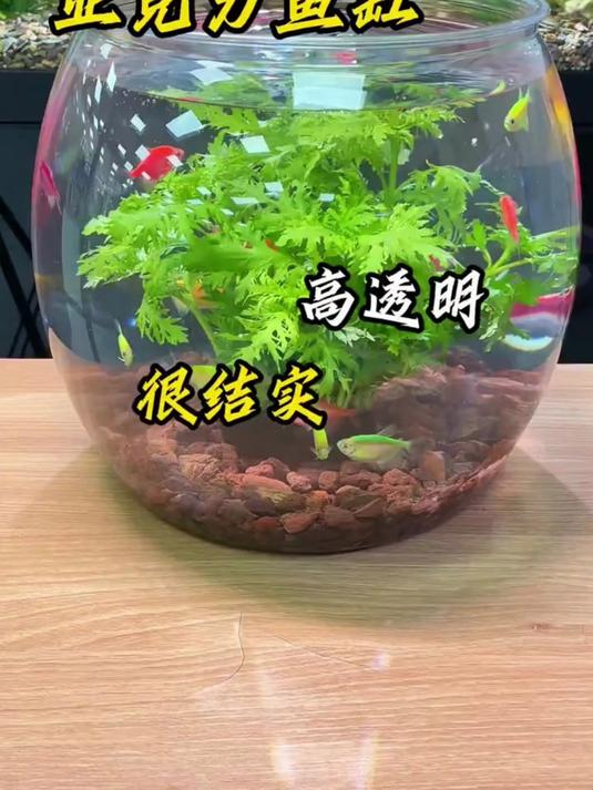 波圆形鱼缸塑料一体成型高透仿玻璃防摔耐摔不坏客厅小型桌面生态缸#好物推荐#