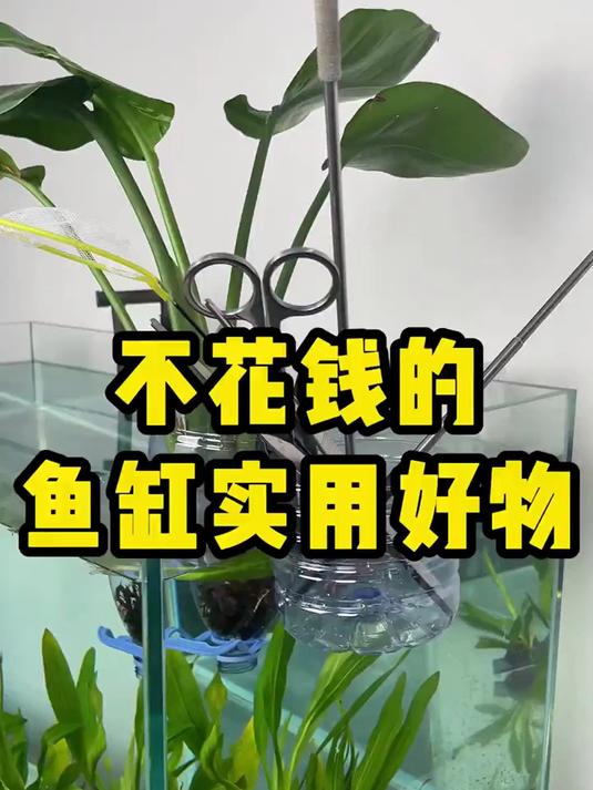 0成本搞定鱼缸收纳好物，制作超简单，这废物利用技巧快学