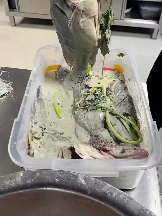 臭桂鱼腌制教程