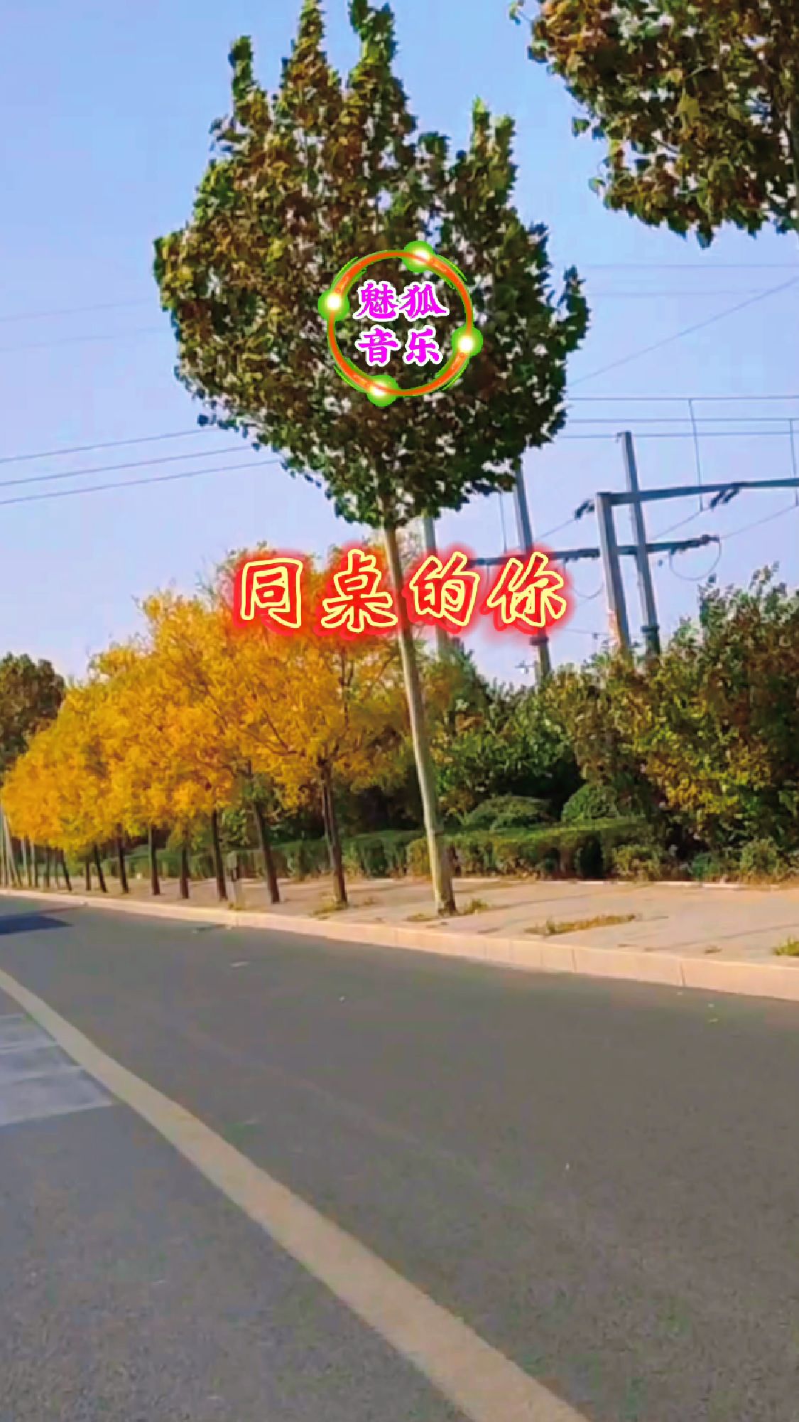 电子琴纯音乐《同桌的你》