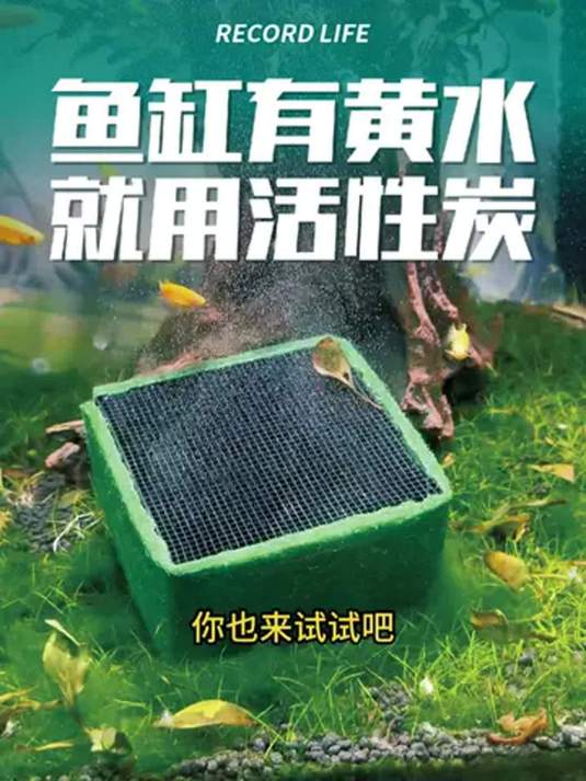 鱼缸净水机用蜂窝活性炭,空气缸轻松搞定