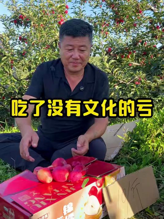 东北特产鸡心果,也叫锦绣海棠果,吃起来脆甜可口