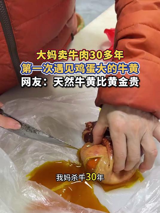 大妈卖牛肉30多年,第一次遇见鸡蛋大的牛黄,网友:天然牛黄比黄金贵