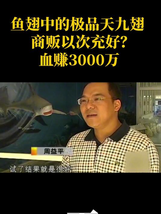 浙江闻名天九鱼翅,大鲨鱼濒临灭绝,商贩以次充好一年赚3000万?
