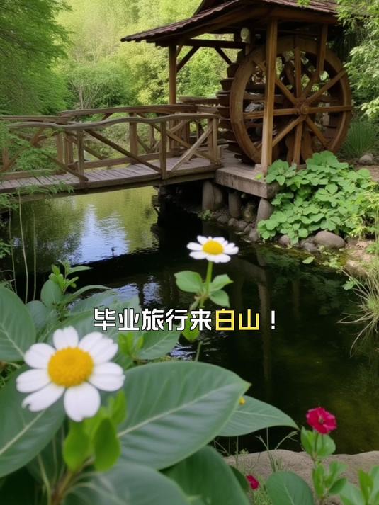 望天鹅景区藏着清凉与惊喜,夏季旅行来白山