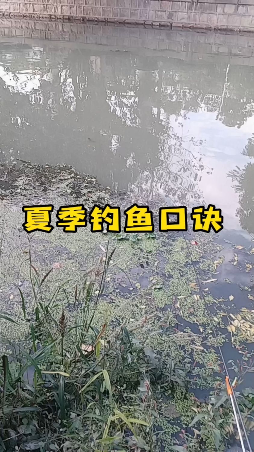 夏季钓鱼口诀