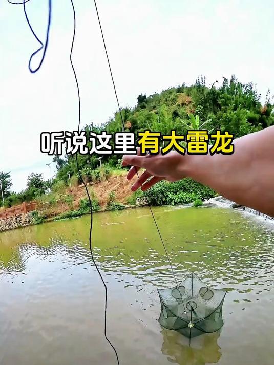 颜值担当的国产雷龙 真的耐看 七星雷龙