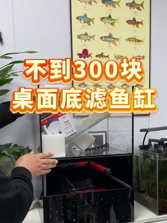 不到300块拿下底滤鱼缸,这漏我捡大了!养鱼必备