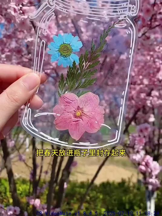 把春天装进瓶子里封存起来!