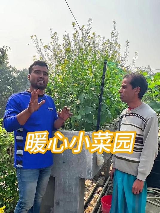 别以为是普通小菜园!老师把后花园改成菜园,专供学生吃新鲜菜