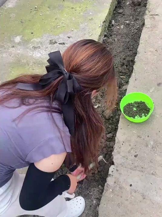 纯野生的蚯蚓配纯野生的鲫鱼#女钓手#