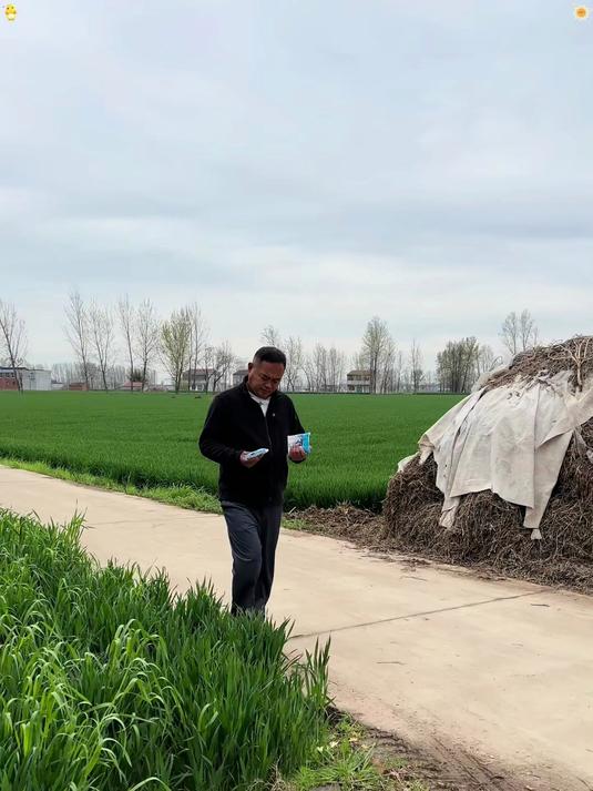 可摆治好了 幽默搞笑，路边居然发现一只鸡