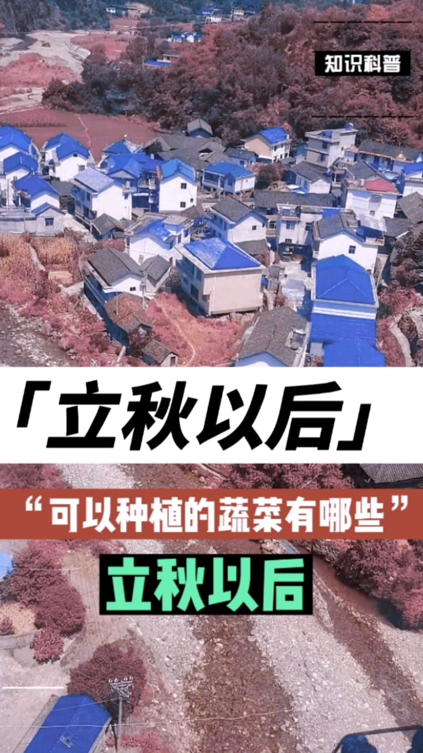 立秋以后可以种植的蔬菜有哪些?