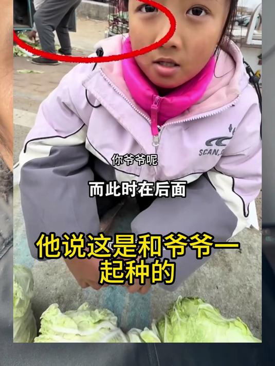 卖白菜的小女孩,善良的让人心疼 正能量 懂事的孩子 热门 三农