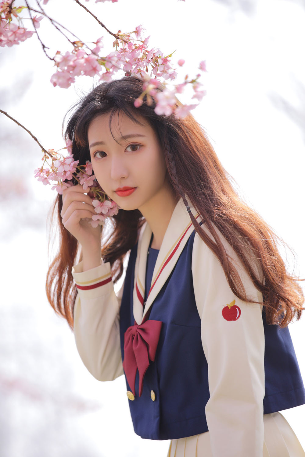图片[10]-樱花-六色网