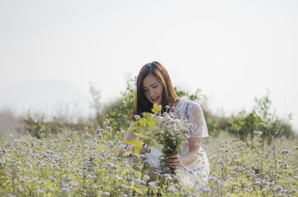 图片[15]-花儿朵朵开-六色网