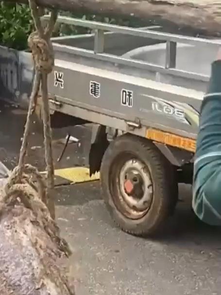 这些鱼贵吗？你都认识哪些？