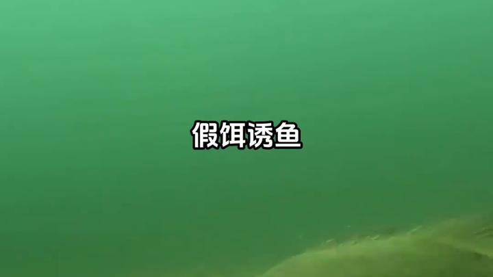 假饵钓鱼技巧：如何用仿真鱼饵高效诱捕目标鱼种