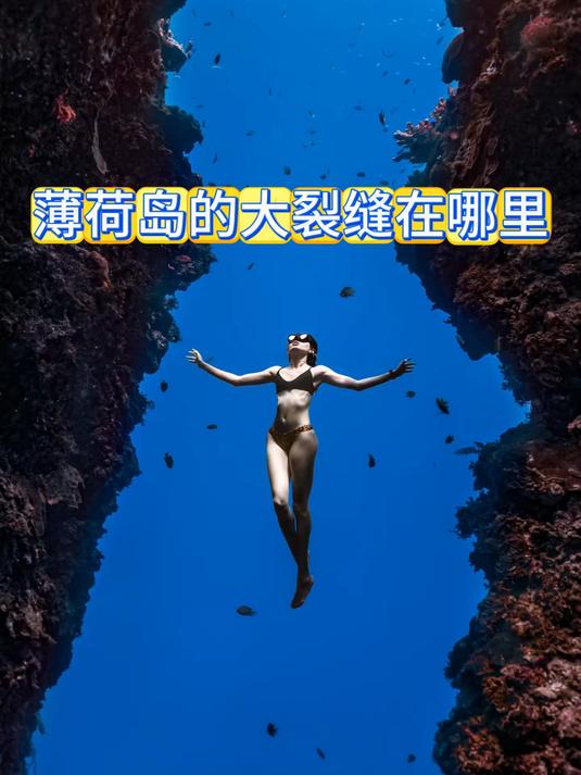 薄荷岛的大裂缝和沙丁鱼怎么去，沙丁鱼风暴和大裂缝在哪里