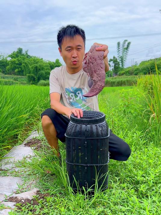 用这个大鱼笼轻松抓鱼不是梦