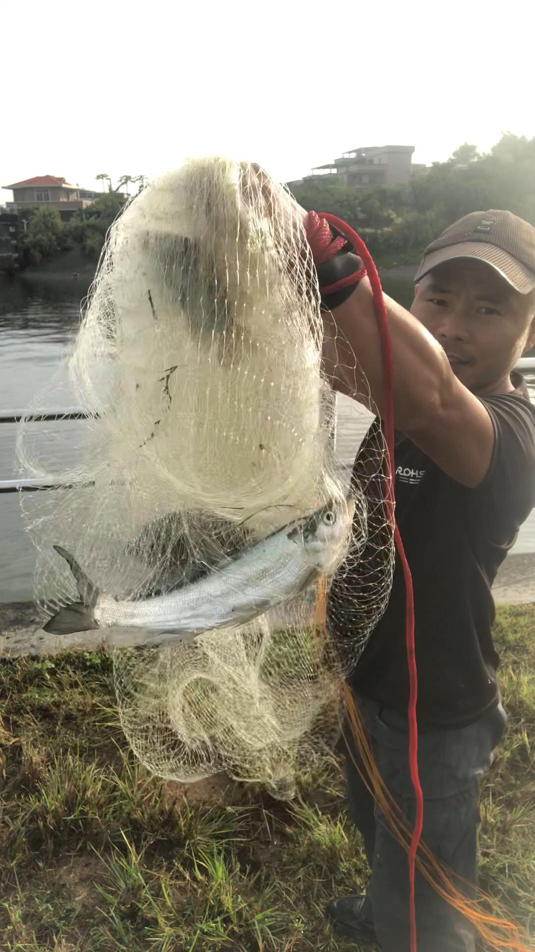 闸口里早上的鱼好多浮出水面一网就抓住一条翘嘴鱼!