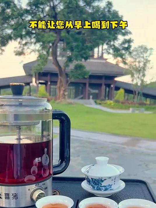 蒸煮两用煮茶器,保温功能一整天都能喝到热茶,1.3升大容量